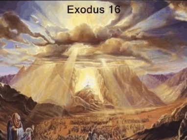 exodus16.gif