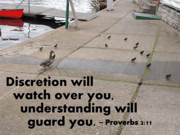 proverbs026.gif