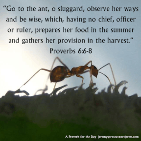 proverbs06.gif