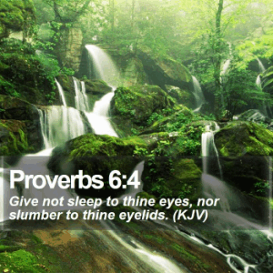 proverbs063.gif