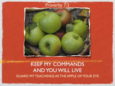 proverbs072.gif
