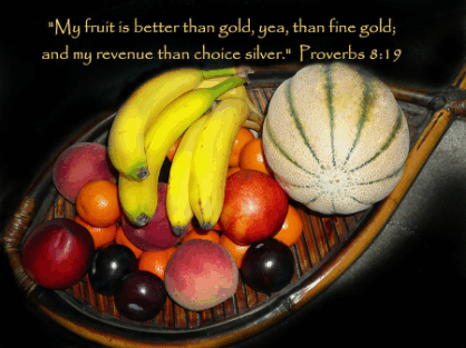 proverbs0812.gif