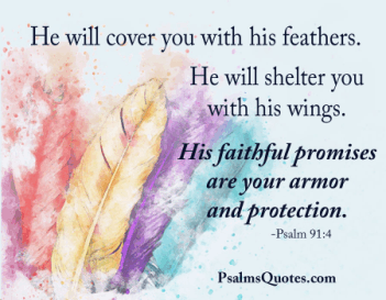 Divine Details: Bible Cover - Brown Refuge - Psalm 91:4