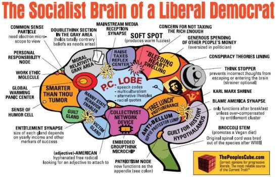 liberal-democrat-brain.jpg