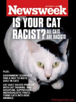 racistcat.jpg