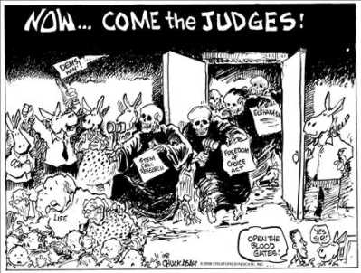 judges.jpg