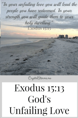 exodus201_30028.gif