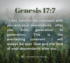 genesis23.gif